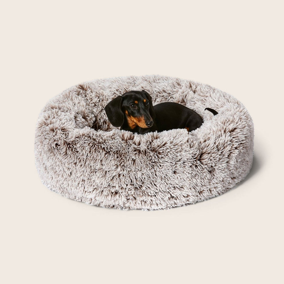 Le Nuage Apaisant - Lit Anti-Stress & Orthopédique pour Chien