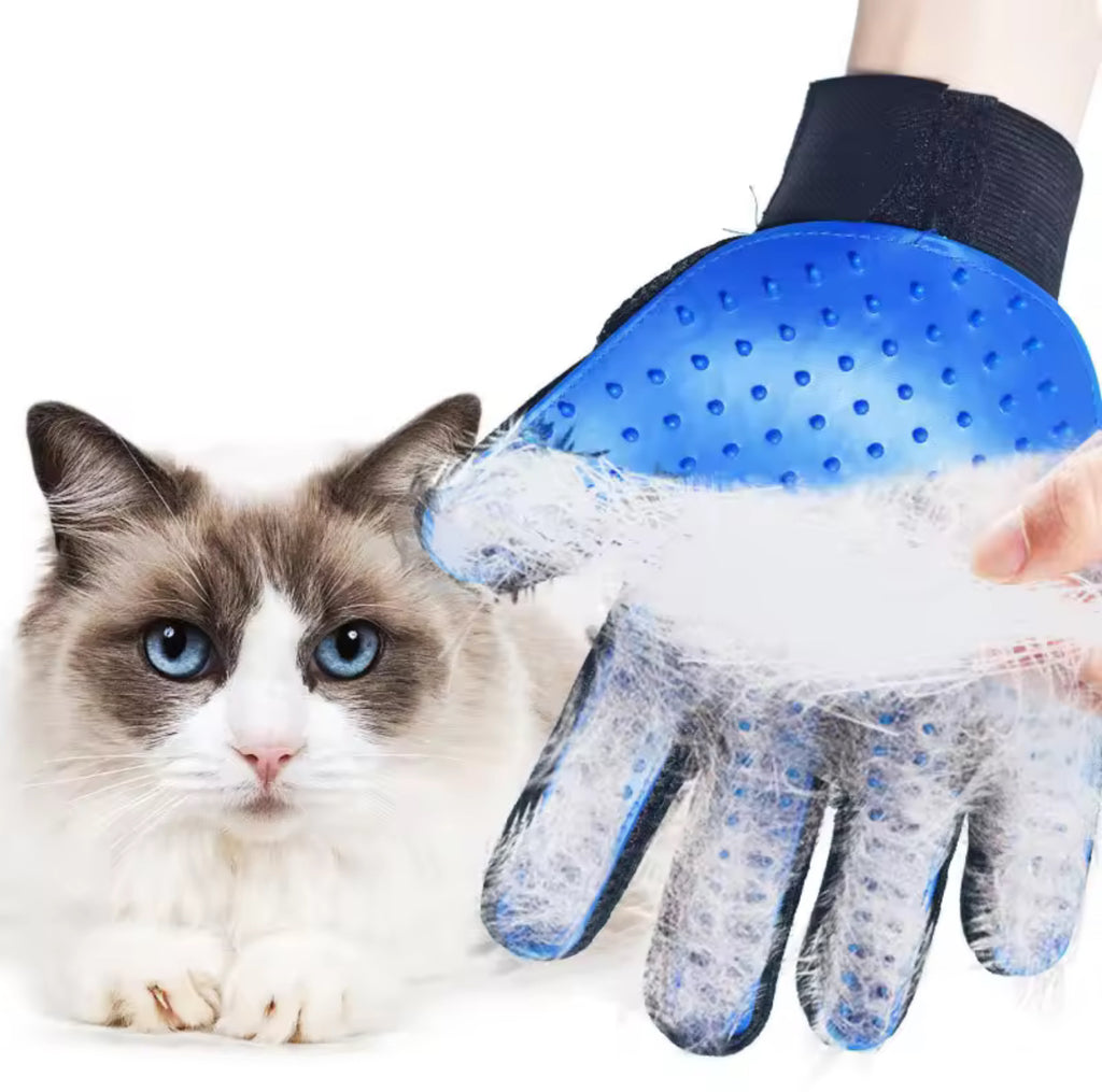 Gants de toilettages pour chat et chien