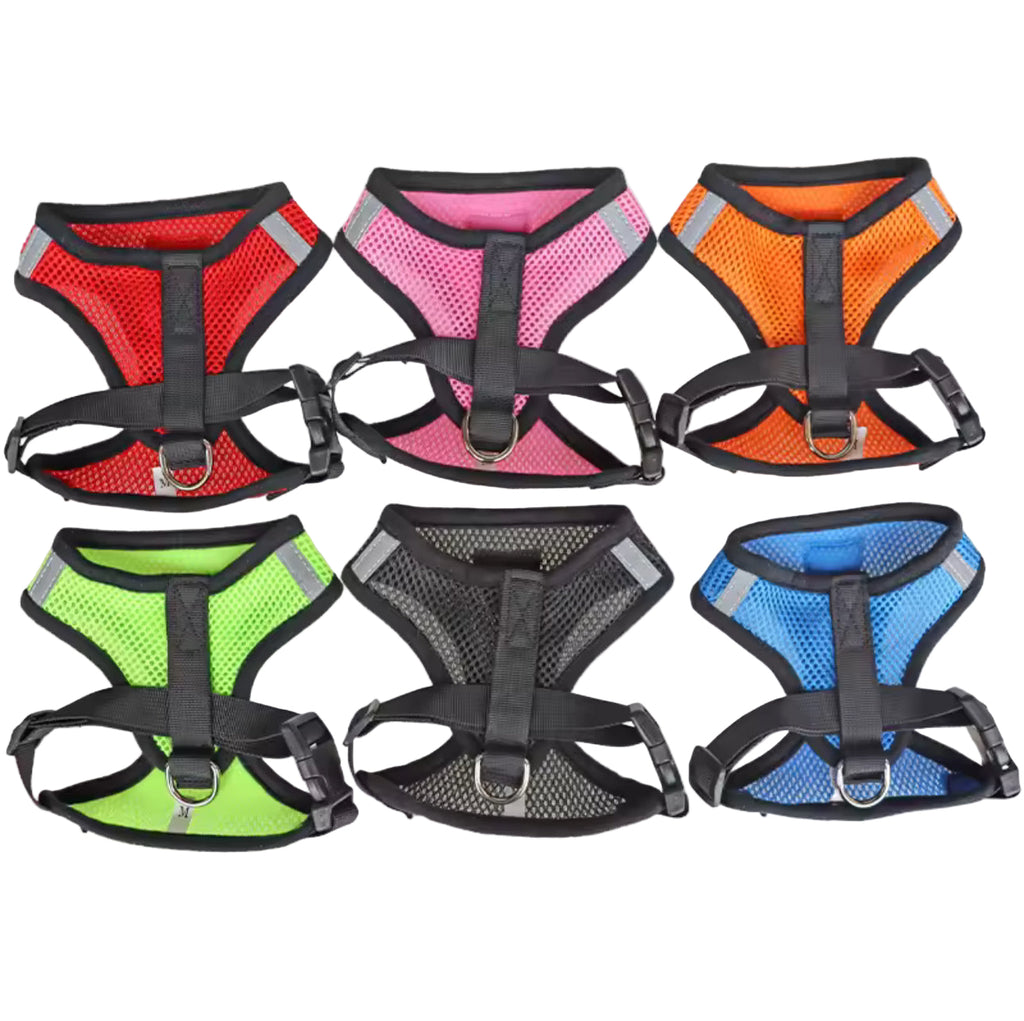 Harnais et laisse pour chat